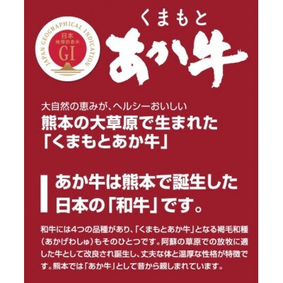 くまもとあか牛サーロインブロック肉約2kg
