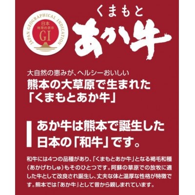 【毎月定期便】くまもとあか牛サーロインステーキ約200g全6回