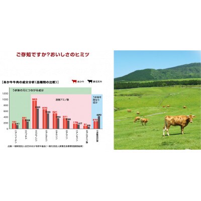 【毎月定期便】くまもとあか牛リブロースすき焼き・しゃぶしゃぶ用約500g全12回