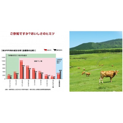 【毎月定期便】くまもとあか牛リブロースすき焼き・しゃぶしゃぶ用約1kg全3回
