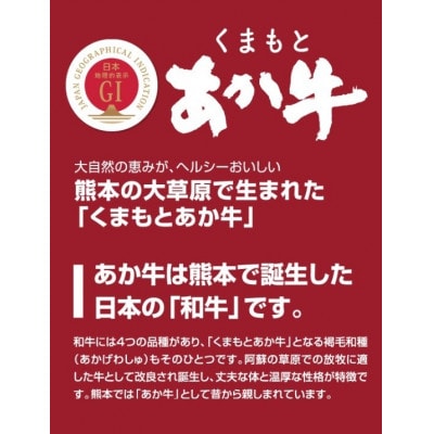 【毎月定期便】くまもとあか牛リブロースステーキ約500g全12回