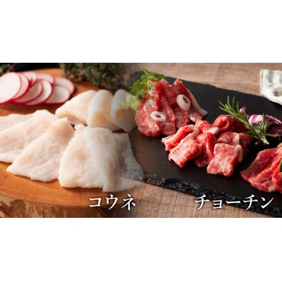 フジチクおすすめ★熊本特産!希少部位を含む贅沢馬刺しセット