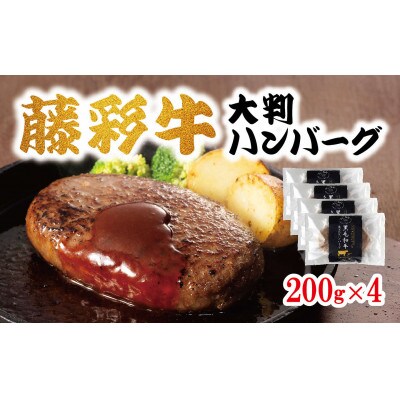 藤彩牛大判ハンバーグ4個