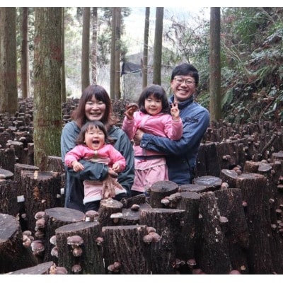 原木栽培干し椎茸セット