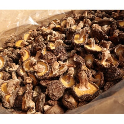 原木栽培干し椎茸セット