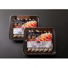 肉がうまい!野菜がうまい!生餃子　12個入り×4パック