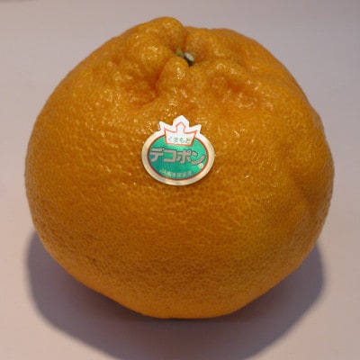 熊本産デコポン 約2kg
