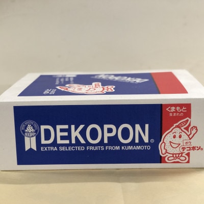 熊本産デコポン 約2kg