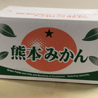 熊本みかん【秀品】5kg