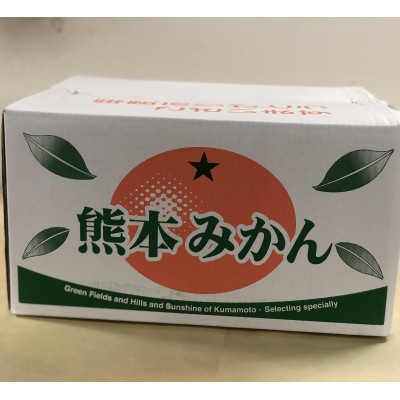 熊本みかん【秀品】10kg