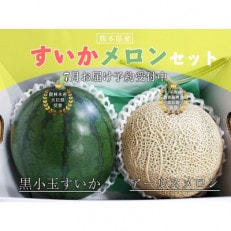 黒小玉とアールスメロンのセット | ふるさと納税のお礼品