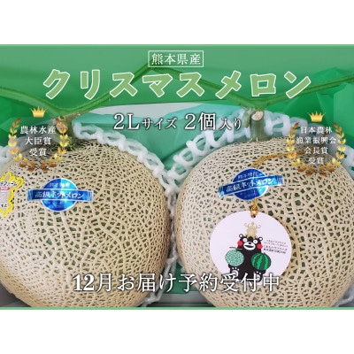 クリスマスメロン2個セット 2Lサイズ【12月上旬~12月下旬発送】