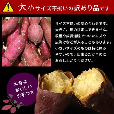 訳あり　さつまいも　紅はるかorシルクスイート　約10kg(山鹿市)