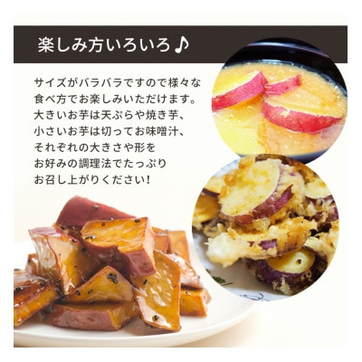 訳あり　さつまいも　紅はるかorシルクスイート　約10kg(山鹿市)