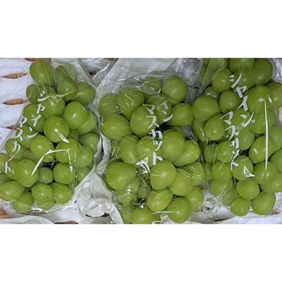 大人気のシャインマスカット 約1.2kg(2～3房)ぶどう (山鹿市)
