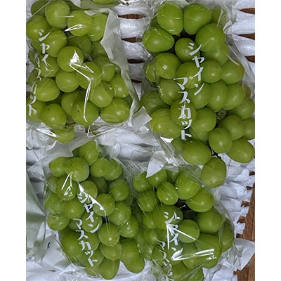 大人気のシャインマスカット 約2kg(3～5房)ぶどう (山鹿市)