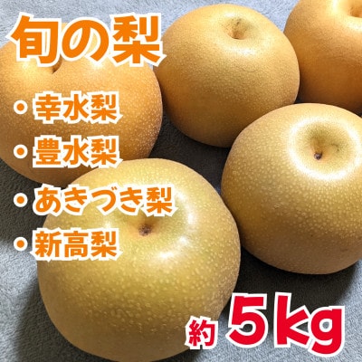 熊本県山鹿市産　厳選旬の梨　約5kg(幸水梨・豊水梨・あきづき梨・新高梨)(山鹿市)