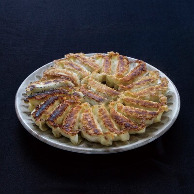 赤鶏の鶏塩餃子　20個入×4袋