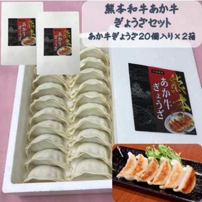 熊本和牛あか牛ぎょうざセット(熊本あか牛餃子20個入り×2箱)(山鹿市)