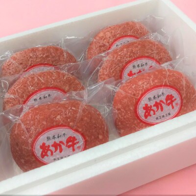 あか牛100%ハンバーグセット(あか牛ハンバーグ120g×6個 あか牛のたれ200ml)(山鹿市)