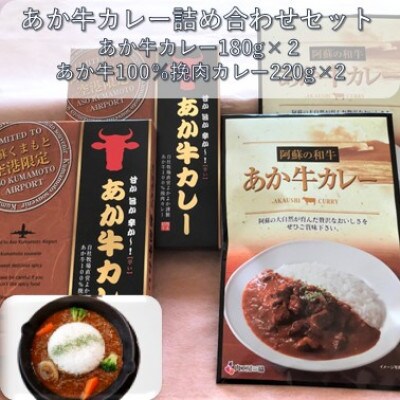 あか牛カレー詰め合わせセット あか牛カレー180g×2あか牛100%挽肉カレー220g×2(山鹿市)