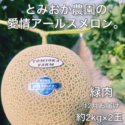 【12月より順次発送】じゅわっと甘い香りのアールスメロン2玉