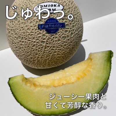 【12月より順次発送】じゅわっと甘い香りのアールスメロン2玉