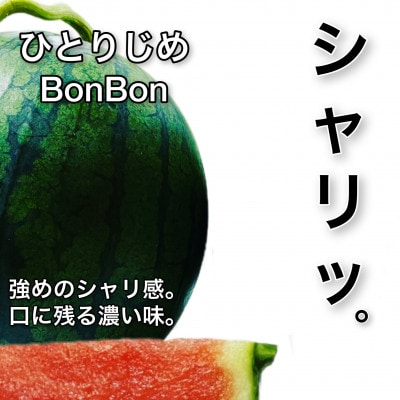 【2025年4月より順次発送】ひとりじめBonBonリッチ　～黒皮小玉スイカ2玉～