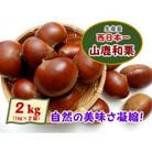 熊本県山鹿和栗(2kg)