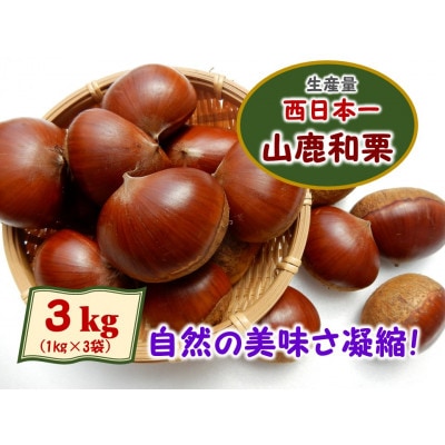 熊本県山鹿和栗(3kg)