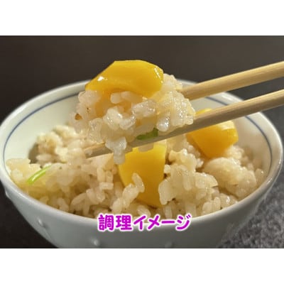 熊本県山鹿和栗(3kg)