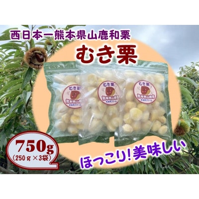 熊本県山鹿和栗【冷凍むき栗】(750g)