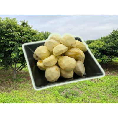 熊本県山鹿和栗【冷凍むき栗】(750g)