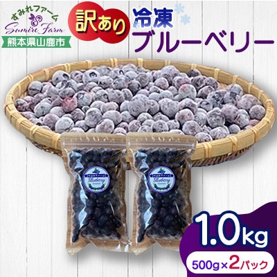 【訳あり】 冷凍ブルーベリー 小粒 1kg(500g×2pc) 【すみれファーム】《山鹿市》