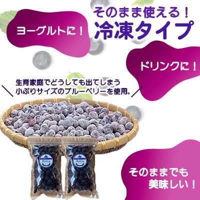 【訳あり】 冷凍ブルーベリー 小粒 1kg(500g×2pc) 【すみれファーム】《山鹿市》