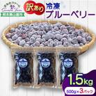 【訳あり】 冷凍ブルーベリー 小粒 1.5kg(500g×3pc) 【すみれファーム】《山鹿市》