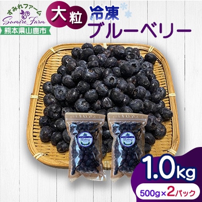 大粒 冷凍ブルーベリー 1kg(500g×2pc) 【すみれファーム】《山鹿市》