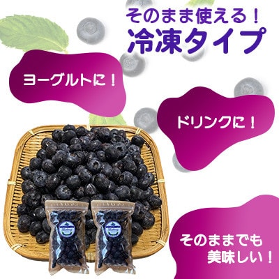 大粒 冷凍ブルーベリー 1kg(500g×2pc) 【すみれファーム】《山鹿市》
