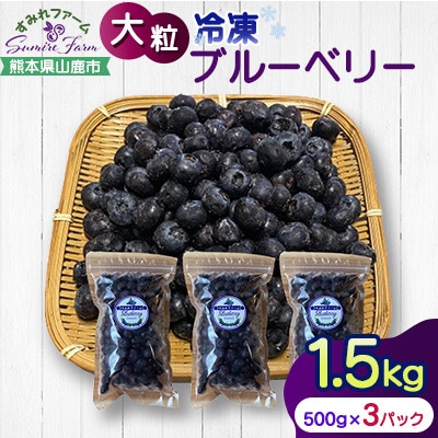 大粒 冷凍ブルーベリー 1.5kg(500g×3pc) 【すみれファーム】《山鹿市》