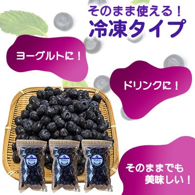 大粒 冷凍ブルーベリー 1.5kg(500g×3pc) 【すみれファーム】《山鹿市》