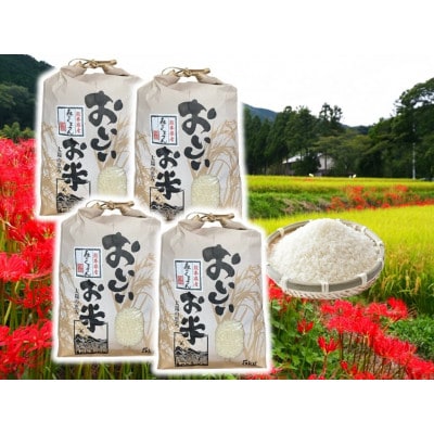 【先行予約】熊本県産お米20kg箱(5kg×4袋)