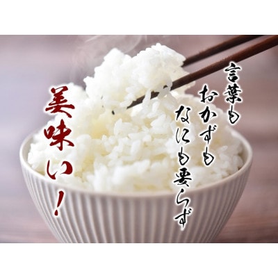 【先行予約】熊本県産お米20kg箱(5kg×4袋)