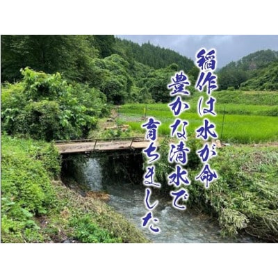 【先行予約】熊本県産お米20kg箱(5kg×4袋)