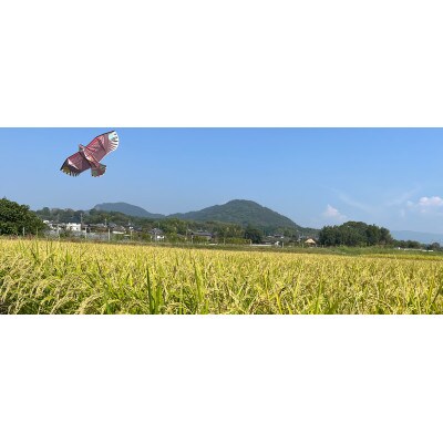 米ぬかパウダー4袋入り【株式会社夢アグリ】《山鹿市》