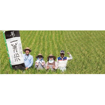 米ぬかパウダー9袋入り【株式会社夢アグリ】《山鹿市》