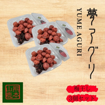 梅干し 300g×3パック【株式会社 夢アグリ】《山鹿市》