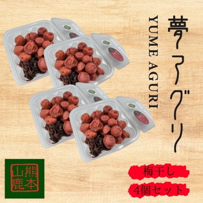 梅干し 300g×4パック【株式会社 夢アグリ】《山鹿市》