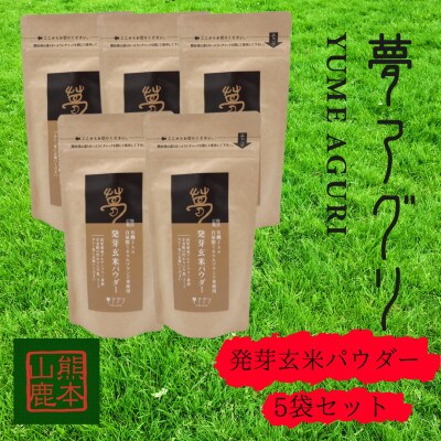 発芽玄米パウダー100g×5袋【株式会社夢アグリ】《山鹿市》