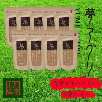 発芽玄米パウダー100g×9袋【株式会社夢アグリ】《山鹿市》