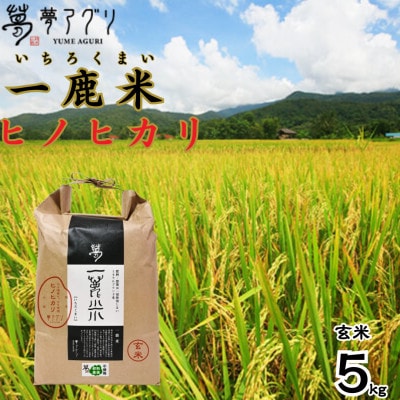 一鹿米 ヒノヒカリ 栽培期間中肥料農薬不使用 米 玄米 5kg【株式会社 夢アグリ】《山鹿市》